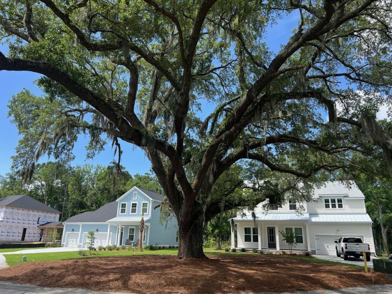 Property image 5 of 1444 Dahlia Road in Fiddlers Cove, Mount Pleasant, SC 29464
