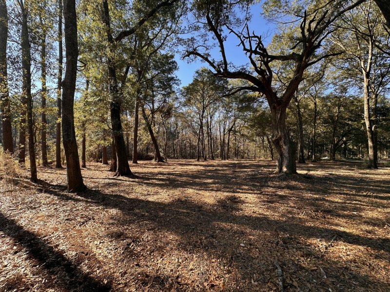 Property image 3 at 0 Cane Slash Road, Johns Island, SC 29455