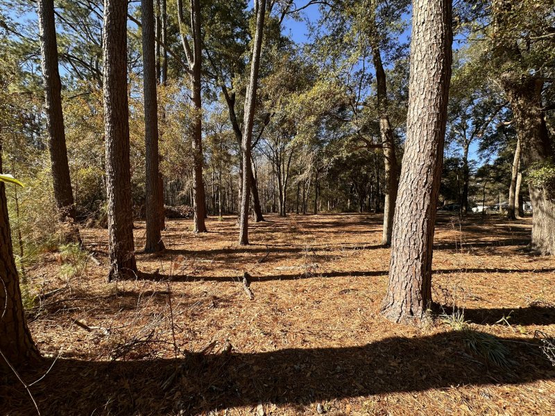 Property image 4 at 0 Cane Slash Road, Johns Island, SC 29455