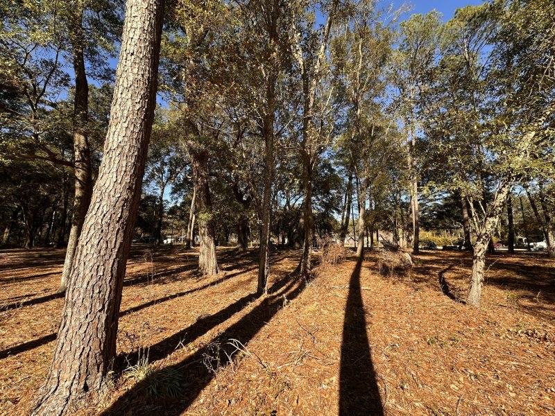 Property image 5 at 0 Cane Slash Road, Johns Island, SC 29455