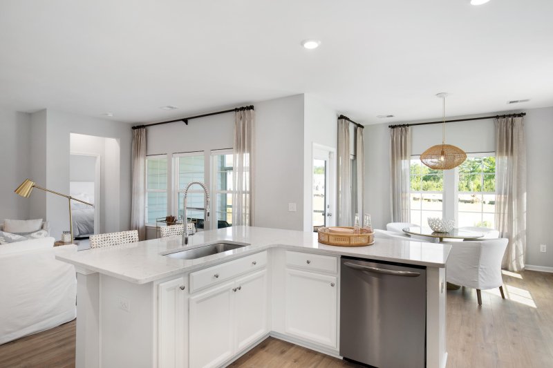 Property image 3 of 119 Gallant Hill Street in Carnes Crossroads, Summerville, SC 29486