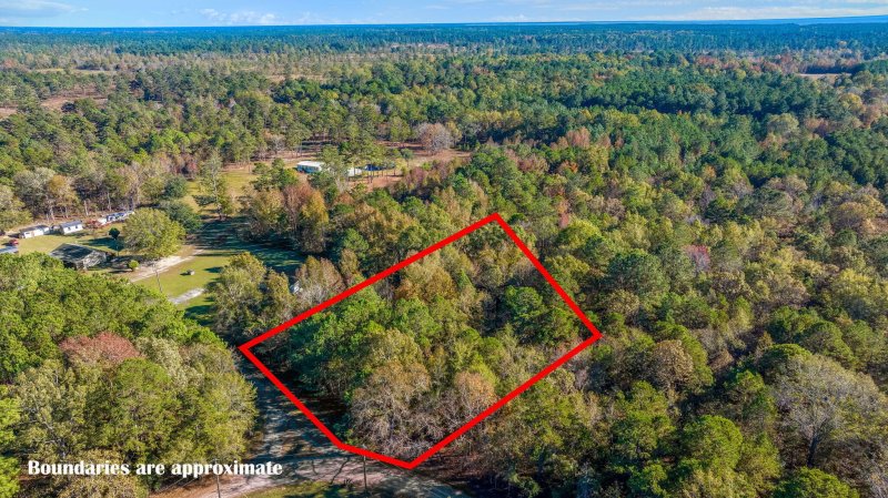 Property image 3 of 0 Muscle Way in Rural Northern Berkeley County, Pineville, SC 29468