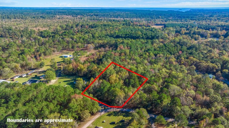 Property image 4 of 0 Muscle Way in Rural Northern Berkeley County, Pineville, SC 29468