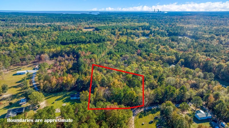 Property image 5 of 0 Muscle Way in Rural Northern Berkeley County, Pineville, SC 29468