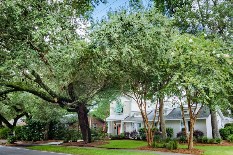 Property image 3 at 762 Mccants Drive, Mount Pleasant, SC 29464