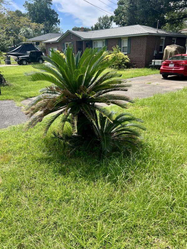 Property image 4 at 5105 Victoria Avenue, North Charleston, SC 29405