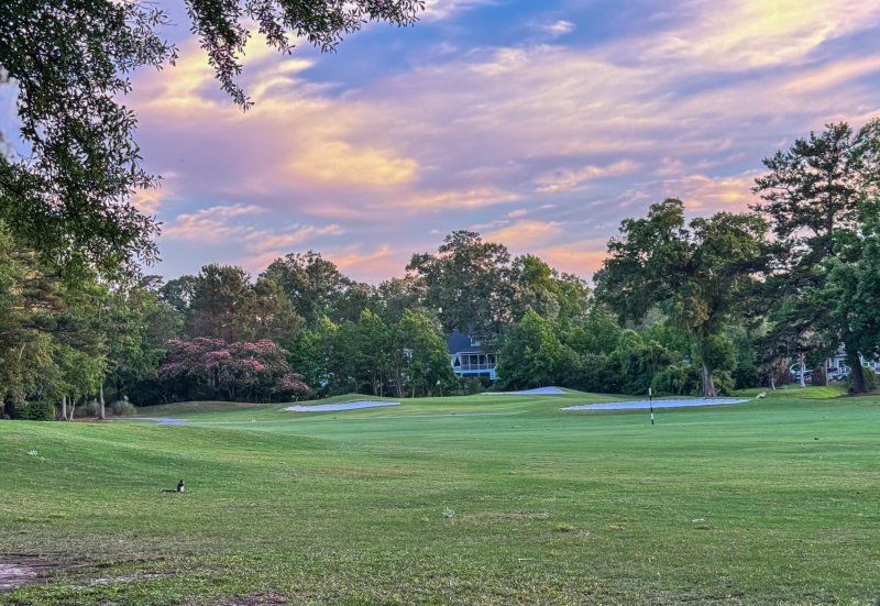 Property image 5 of 27 Fitzroy Drive in Shadowmoss, Charleston, SC 29414