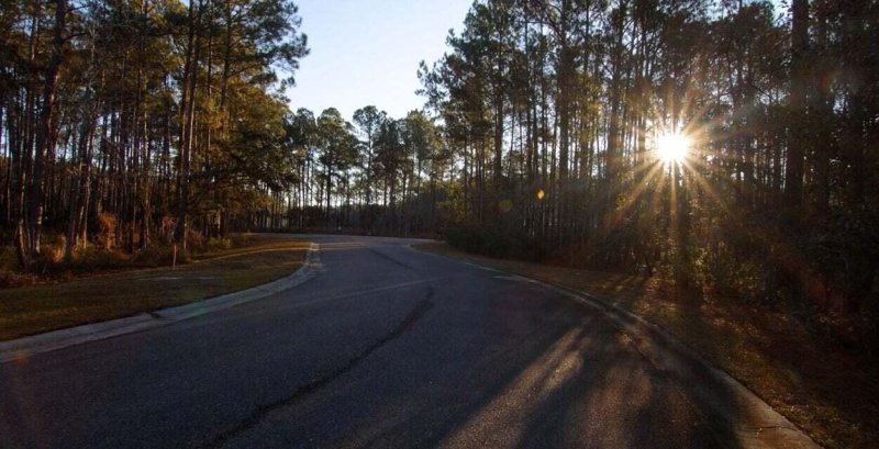 Property image 5 of 1461 Jeremy Cay Court Lot 110 in Paradise Island, Awendaw, SC 29429