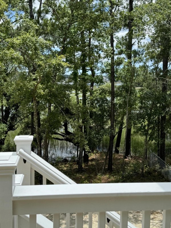 Property image 5 at 1157 Oak Bluff Avenue, Charleston, SC 29492