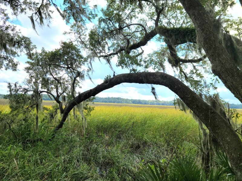 Property image 3 at 7751 Park Gate Drive, North Charleston, SC 29418