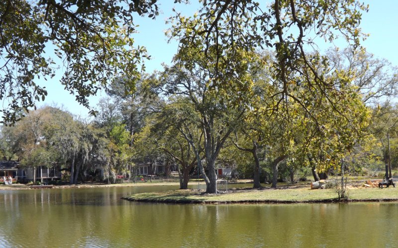 Property image 3 at 830 Sheldon Road, Charleston, SC 29407