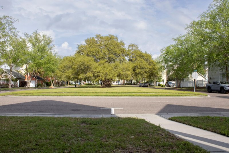 Property image 2 of 102 Dandelion Street in White Gables, Summerville, SC 29483