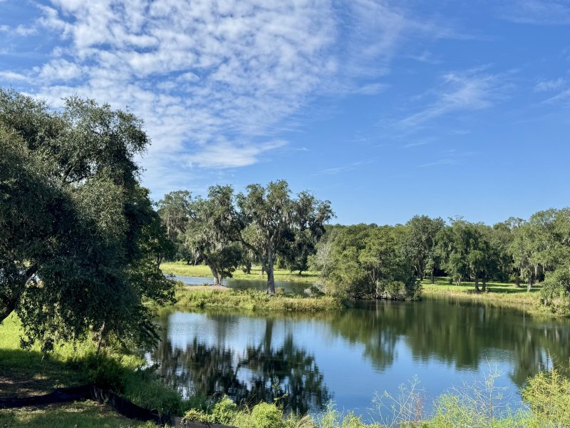 Property image 5 of 2964 Lodge Berry Lane in Vineyard Lakes, Johns Island, SC 29455