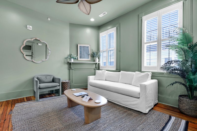 Property image 3 of 169 Spring Street in Cannonborough-Elliotborough, Charleston, SC 29403