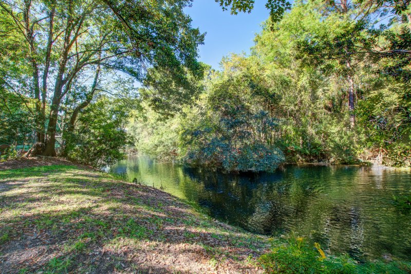 Property image 2 of 1928 Oak Tree Lane in Sweetgrass, Mount Pleasant, SC 29464