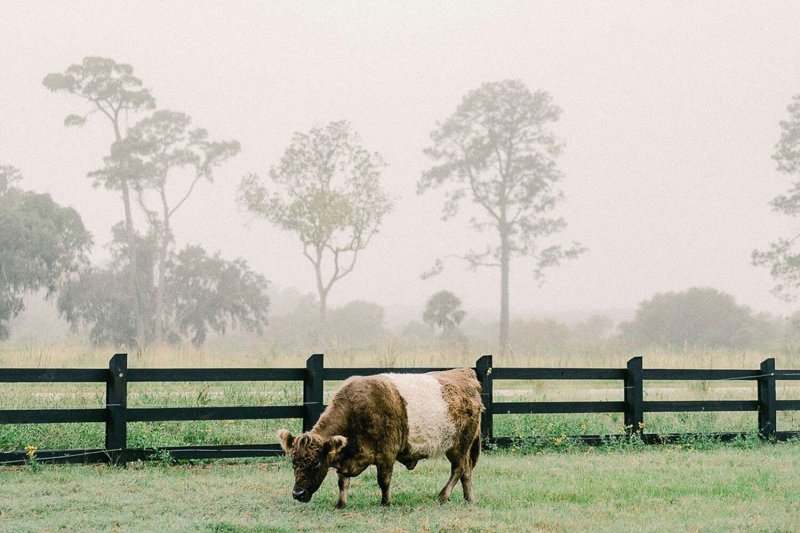 Property image 5 of 4023 Chantey Crest in Kiawah River, Johns Island, SC 29455