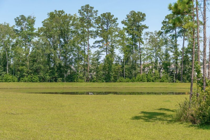 Property image 5 of 641 Silver Spruce Street in Cane Bay Plantation, Summerville, SC 29486