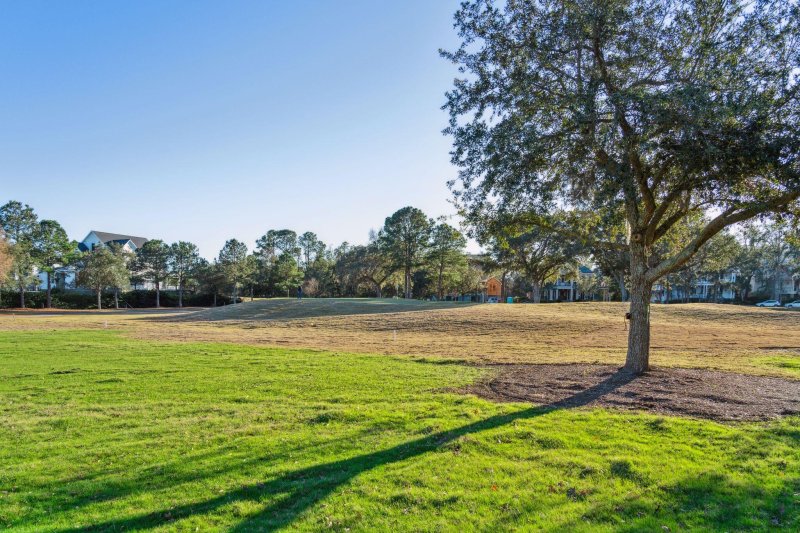 Property image 3 of 141 Ithecaw Creek Street in Daniel Island, Charleston, SC 29492