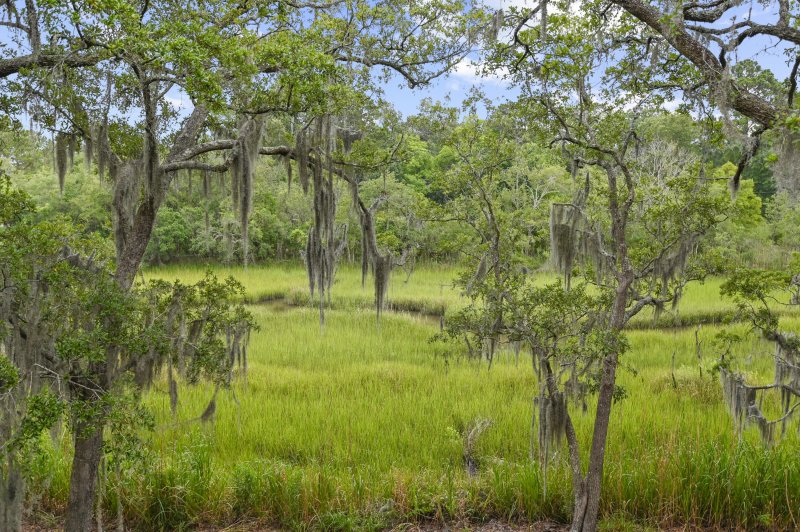Property image 3 at 1523 St Helenas Point, Charleston, SC 29407