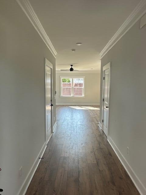 Property image 5 of 4126 O Hear Avenue in Edgewood, North Charleston, SC 29406