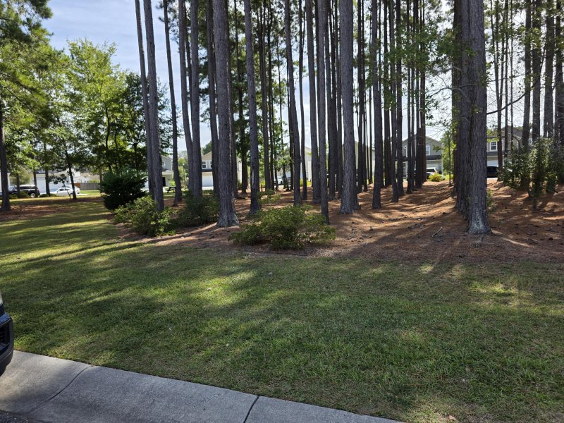 Property image 5 of 186 Brookhaven Road in Cane Bay Plantation, Summerville, SC 29486