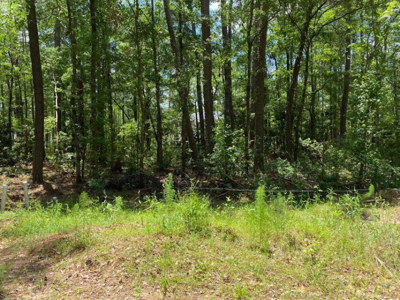 Property image 2 at 0 Almond Street, Summerville, SC 29483