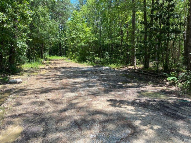 Property image 3 at 0 Almond Street, Summerville, SC 29483