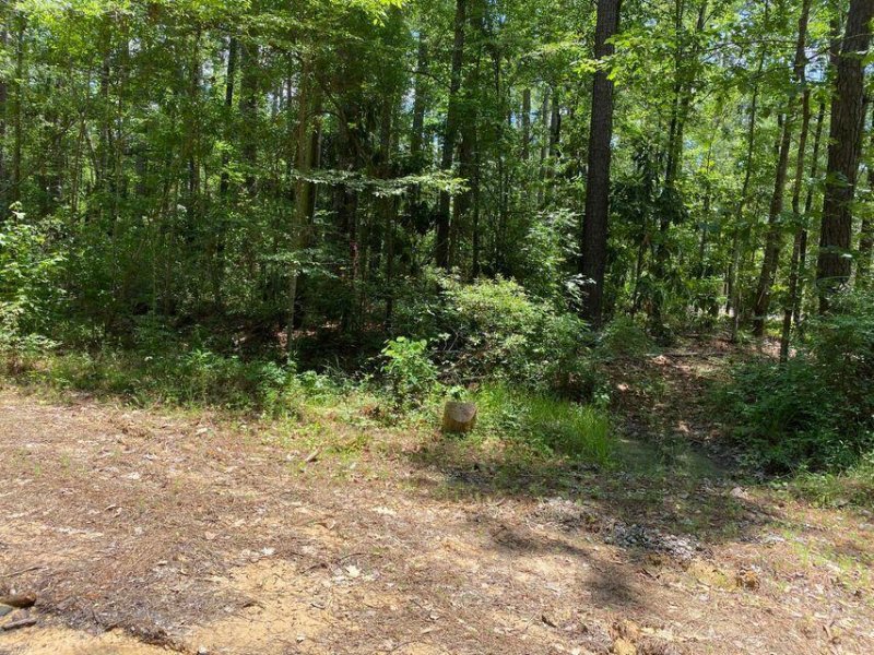 Property image 4 at 0 Almond Street, Summerville, SC 29483