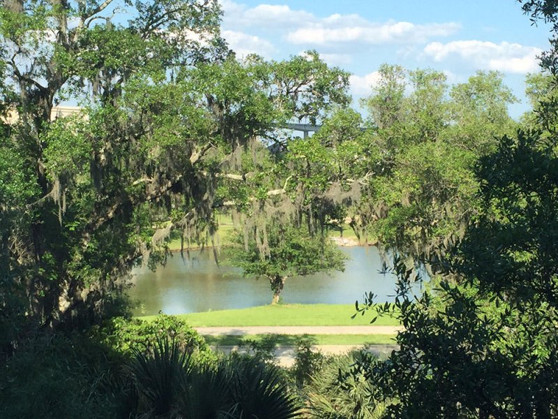 Property image 2 at 145 Pier View Street 207, Charleston, SC 29492