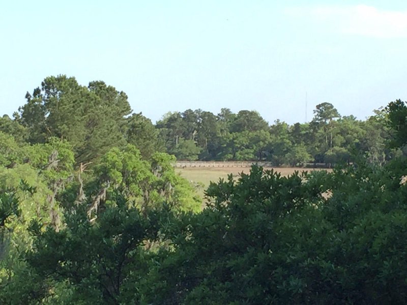 Property image 3 at 145 Pier View Street 207, Charleston, SC 29492