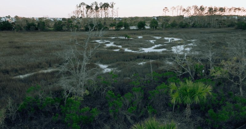 1105 Ship Builder Street