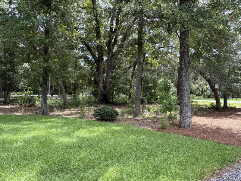 Property image 3 at 3146 Olivia Marie Lane, Johns Island, SC 29455