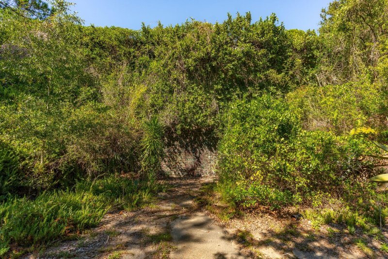 Property image 3 of 3019 Ion Avenue in Marshall Reservation, Sullivans Island, SC 29482