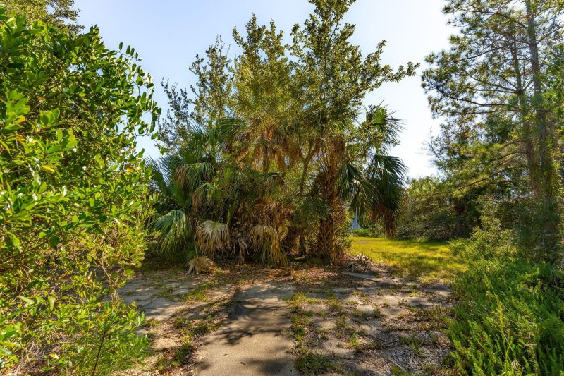 Property image 4 of 3019 Ion Avenue in Marshall Reservation, Sullivans Island, SC 29482