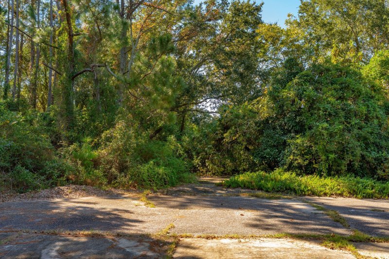 Property image 5 of 3019 Ion Avenue in Marshall Reservation, Sullivans Island, SC 29482