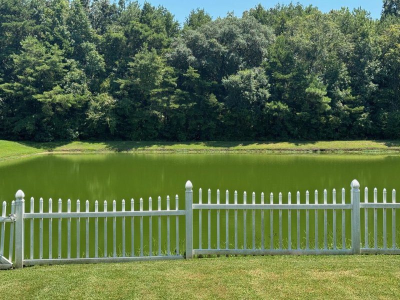 161 Carolinian Drive