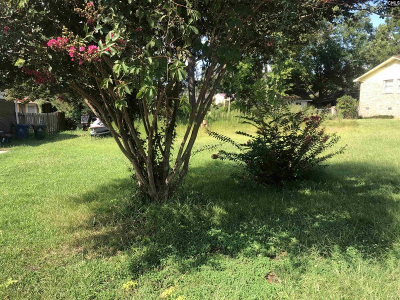 Property image 2 of 1049 Wisteria Drive in Brookwood, West Columbia, SC 29169