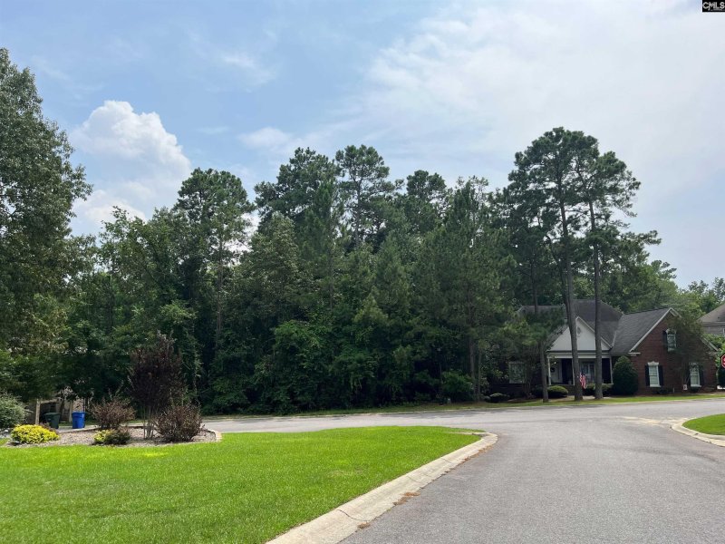 Property image 2 of 200 Deer Crossing in Woodcreek Farms, Elgin, SC 29045