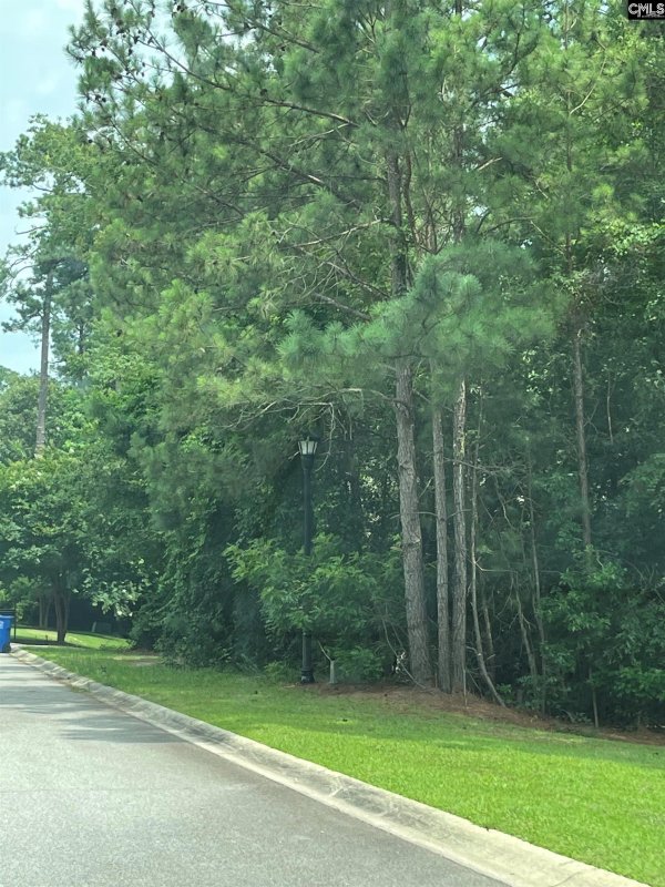 Property image 4 of 200 Deer Crossing in Woodcreek Farms, Elgin, SC 29045