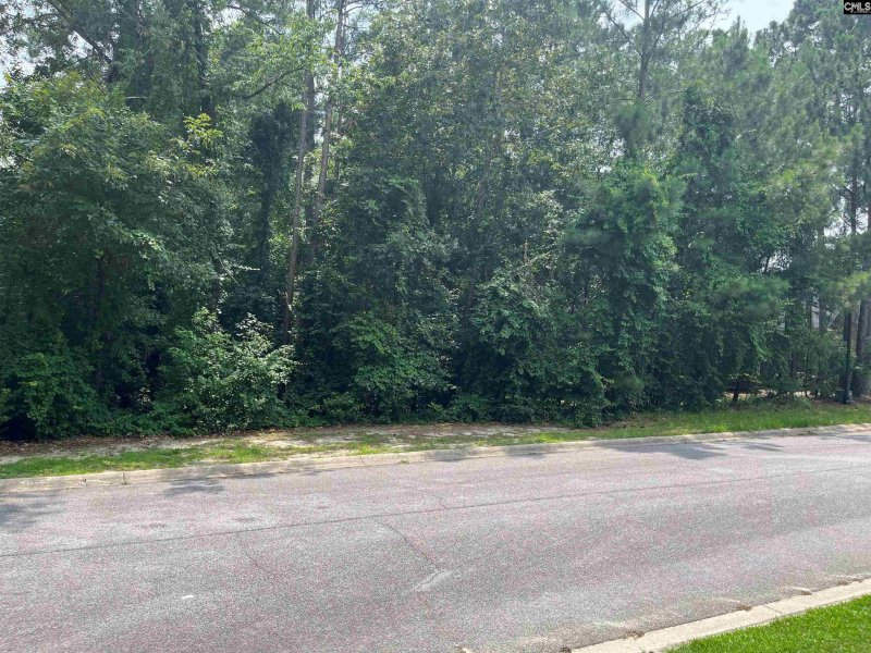 Property image 5 of 200 Deer Crossing in Woodcreek Farms, Elgin, SC 29045