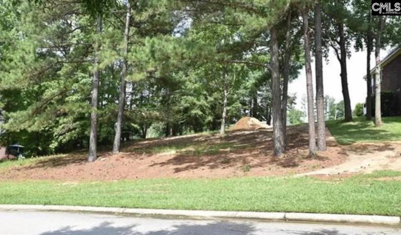 Property image 3 of 104 Bay Pointe Drive in Bay Pointe, Chapin, SC 29036