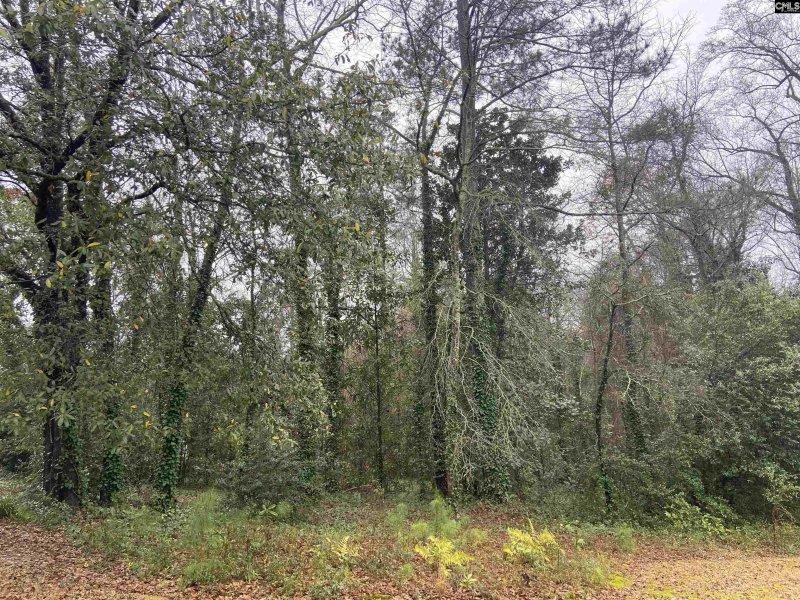 Property image 3 of 1951 Forest Drive in Kirkover Hills, Camden, SC 29020-0000