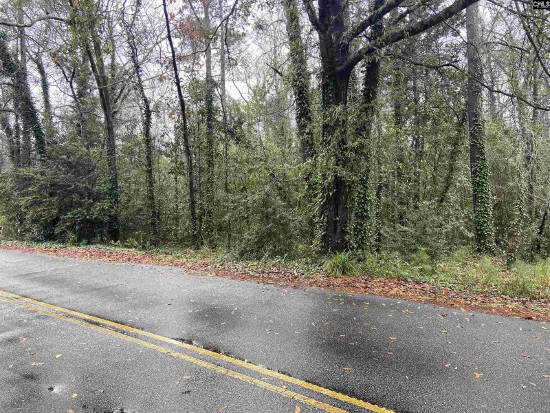 Property image 5 of 1951 Forest Drive in Kirkover Hills, Camden, SC 29020-0000