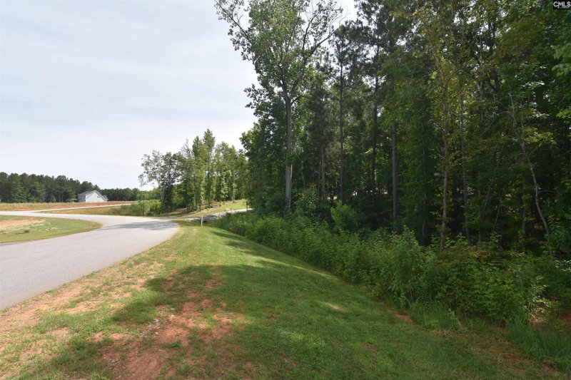 Property image 3 of 0 Longview Drive in Palmetto Pointe, Leesville, SC 29070