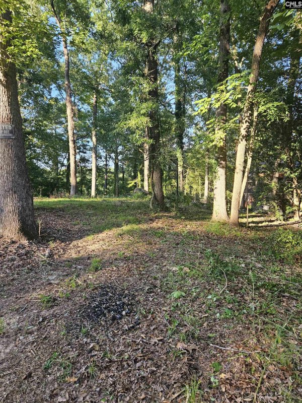 Property image 4 of 1540 Sewanee Drive in Westover Acres, West Columbia, SC 29169