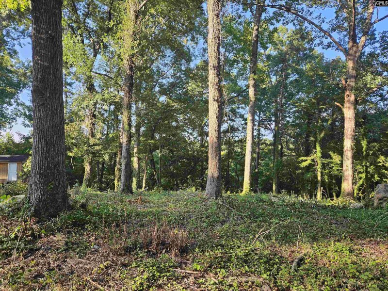 Property image 5 of 1540 Sewanee Drive in Westover Acres, West Columbia, SC 29169