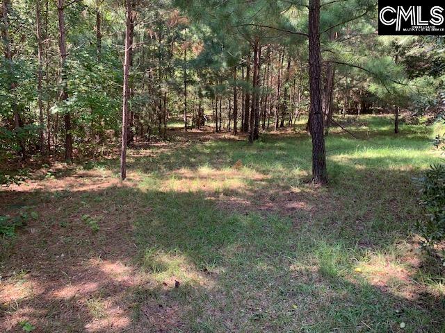 Property image 2 of Wateree Estates Road in Lake Wateree, Winnsboro, SC 29180