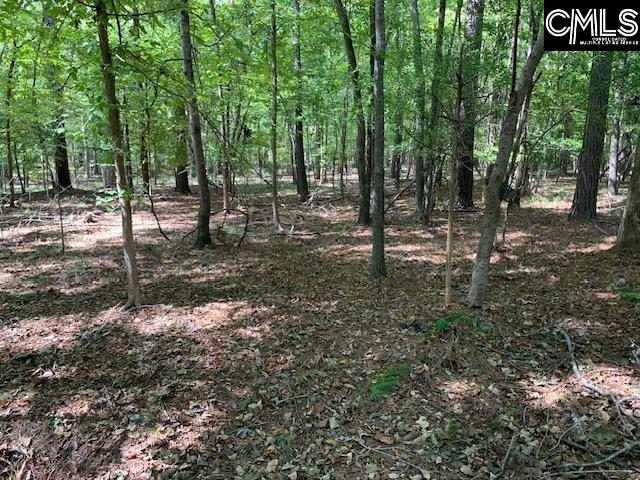 Property image 3 of Wateree Estates Road in Lake Wateree, Winnsboro, SC 29180