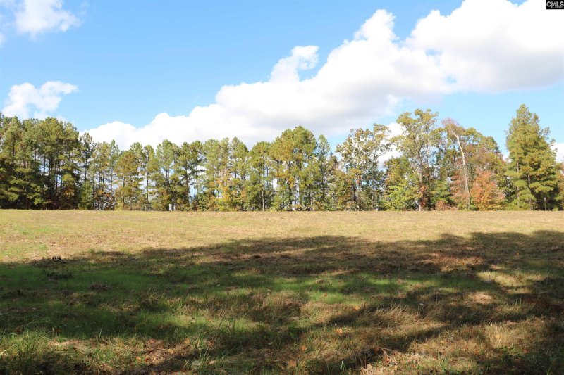 Property image 2 of 0 Bethany Drive in Milford Park, Irmo, SC 29063