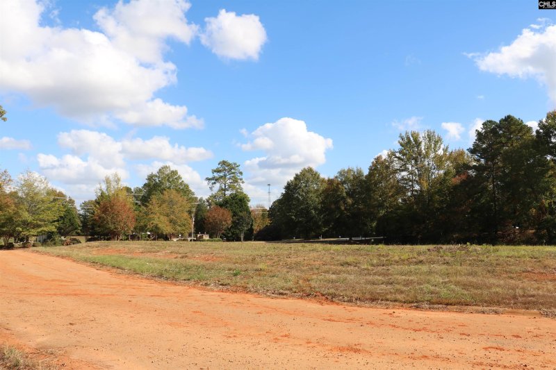 Property image 5 of 0 Bethany Drive in Milford Park, Irmo, SC 29063